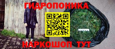 дживик Прокопьевск