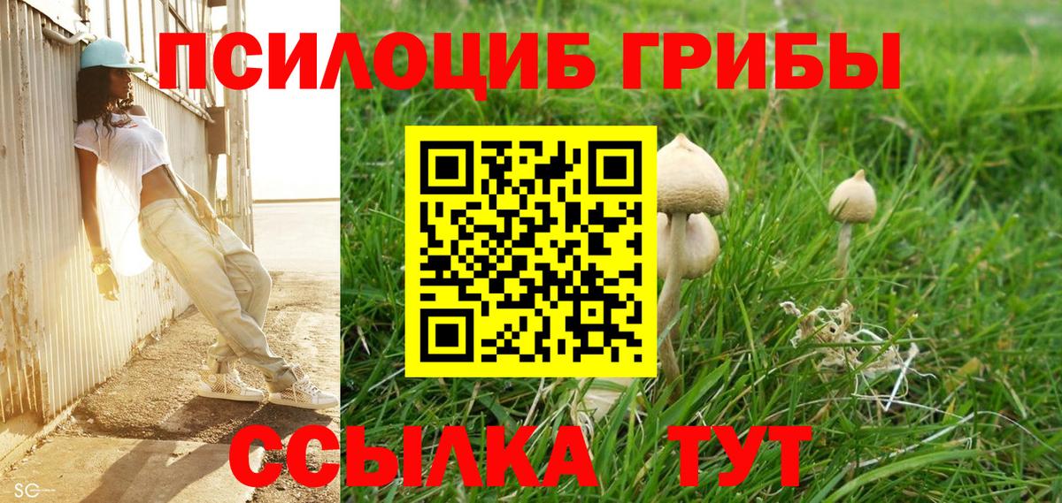 Галлюциногенные грибы Psilocybine cubensis  Псилоцибиновые грибы Psilocybe  Вход с VPN  Карпинск 